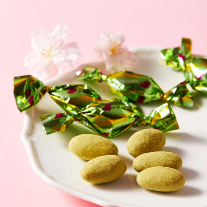 さくらパンダ ティラミスチョコ（抹茶 ）小紙袋付